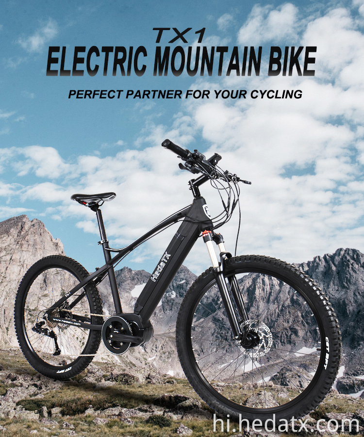 Electric Mountain Bike